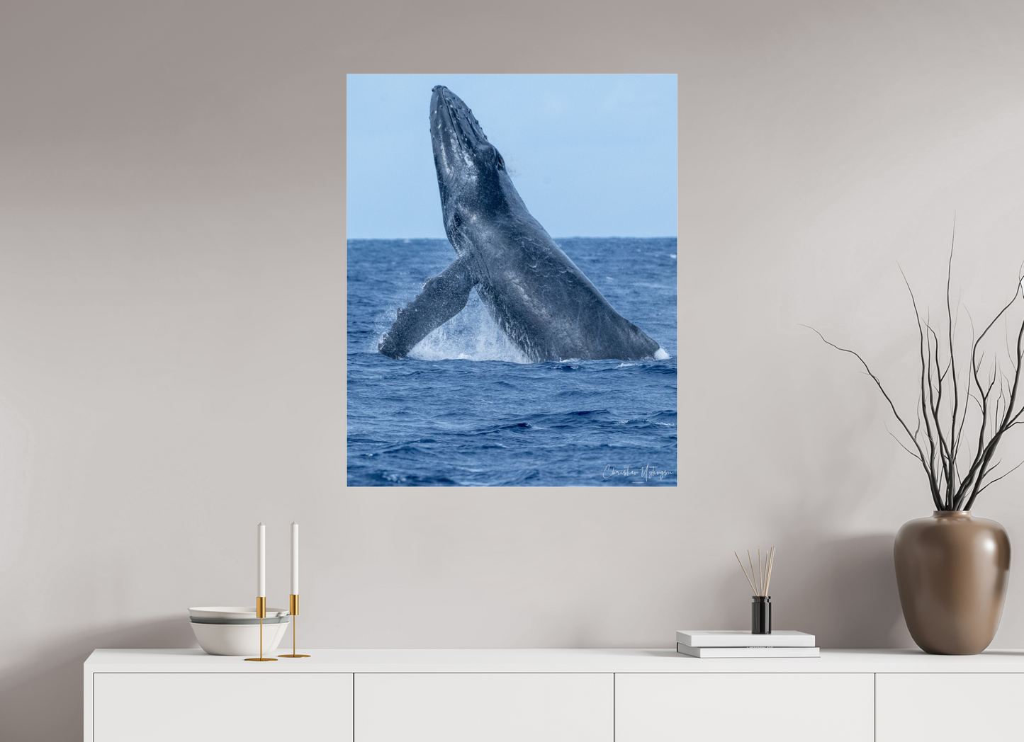 28 x 35″, Acrylic Glass 0.08mm Fuji Crystal Archive DP II Whale Greets Lāna'i