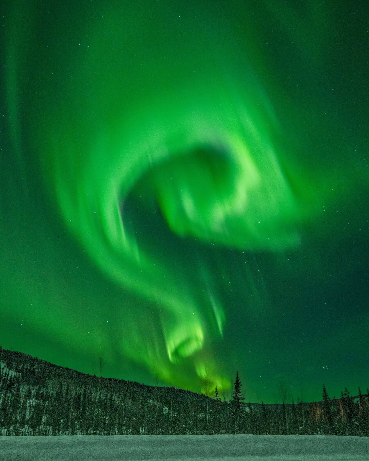 a vibrant aurora in fairbanks alaska