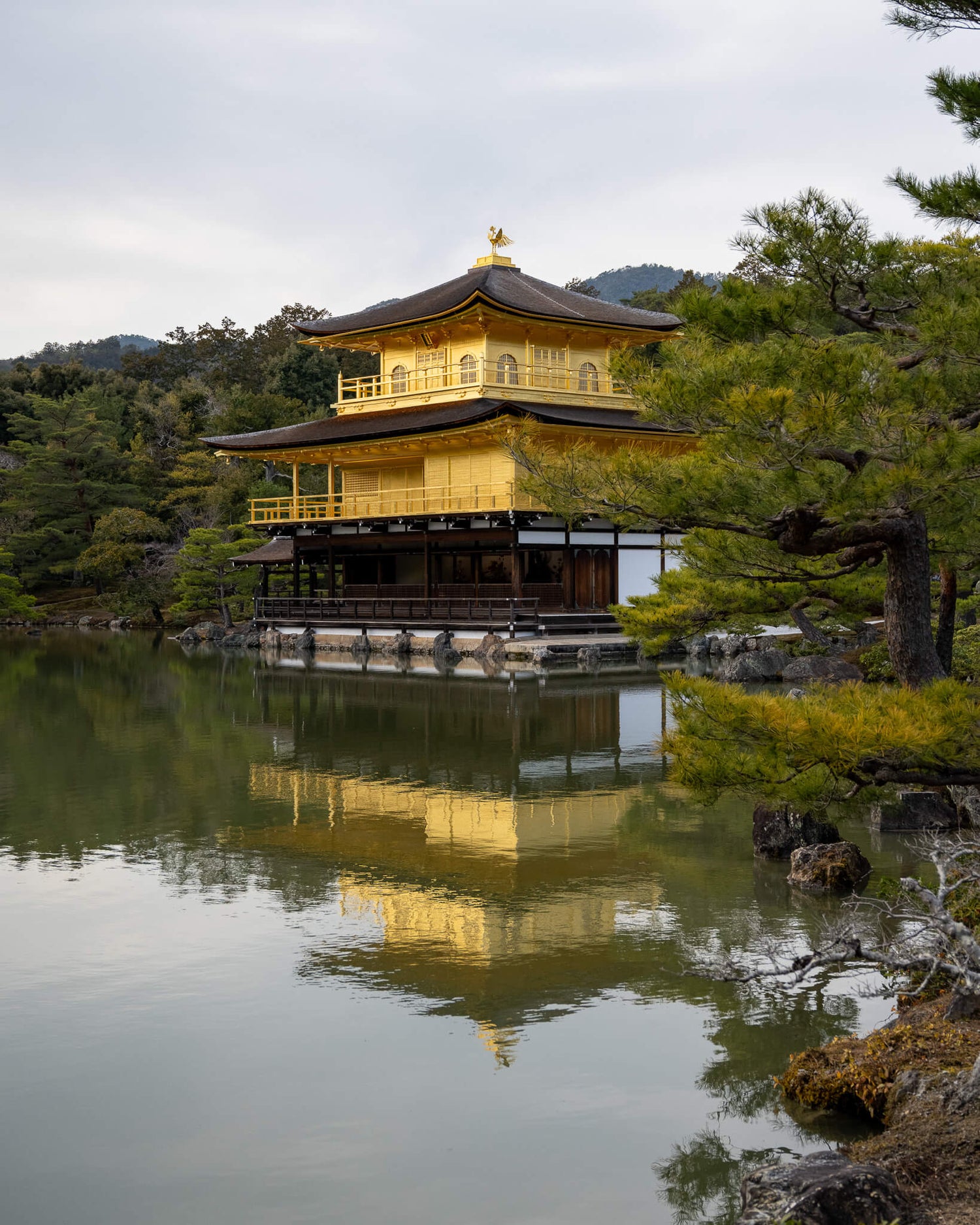 gold temple in kyoto japan