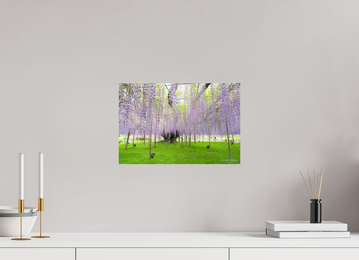 15 x 10″, ChromaLuxe HD Metal Print The Great Wisteria