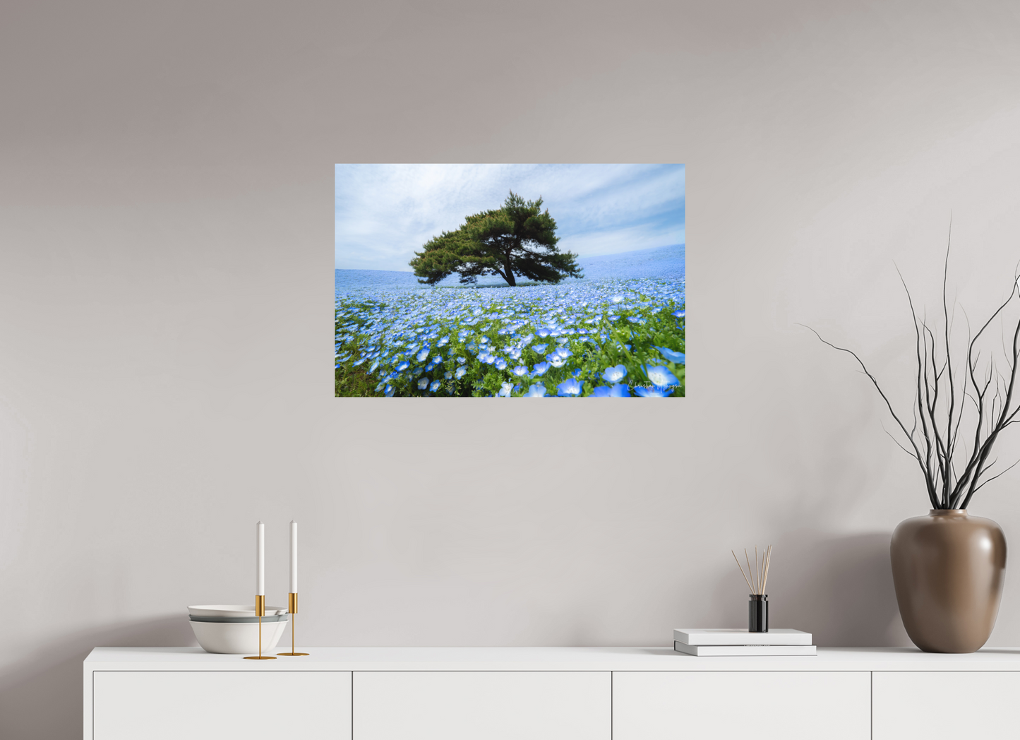 30 x 20″, Fuji Crystal DP II Matte Tree of Life