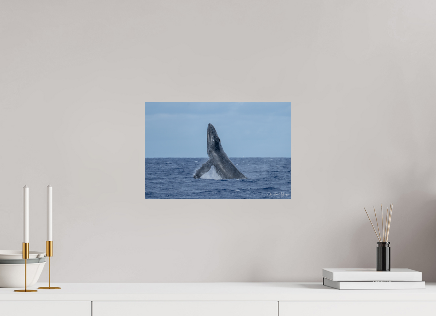 Whale Greets Lāna‘i