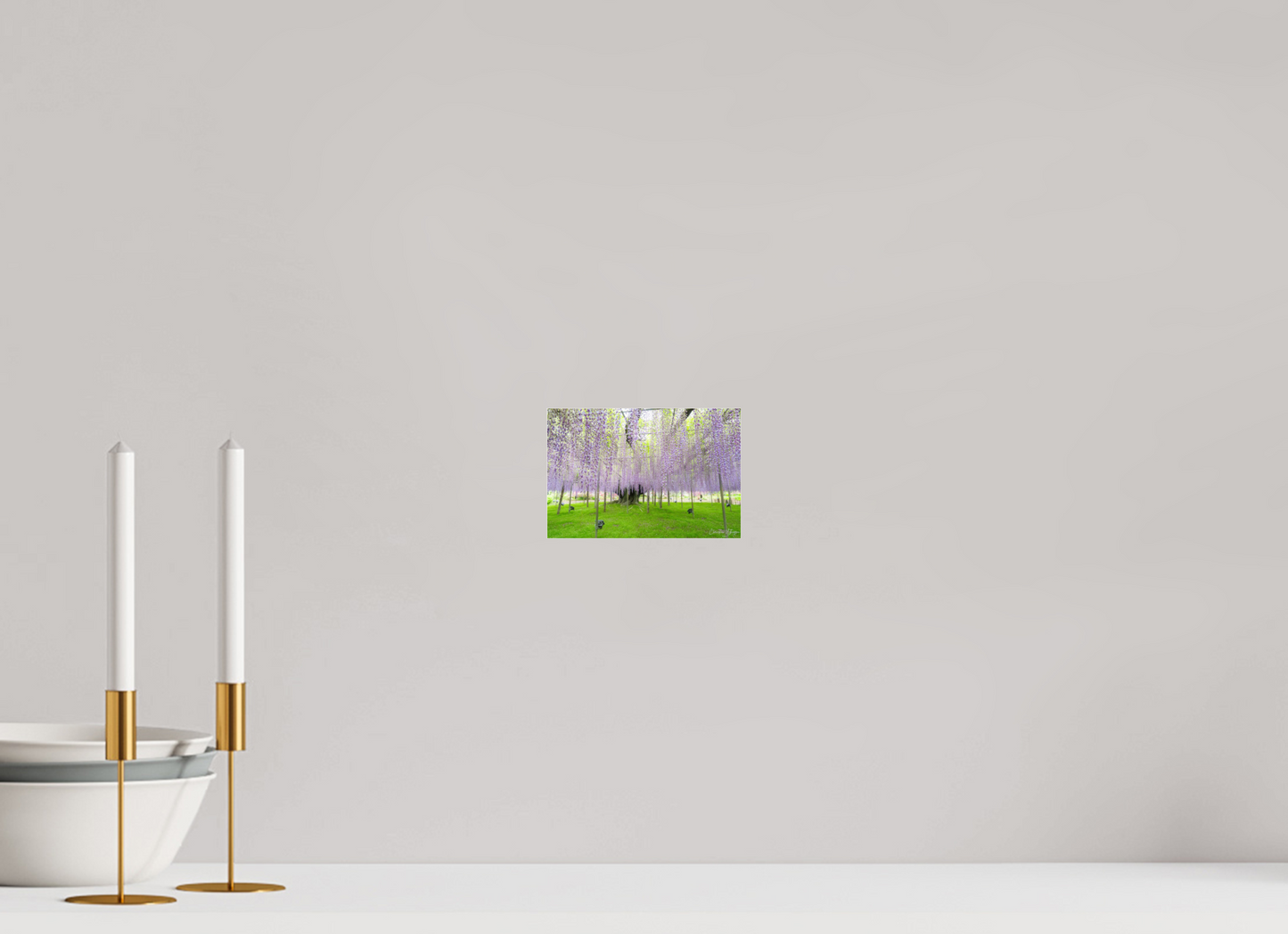 6 x 4″, Acrylic Glass 0.08mm Fuji Crystal Archive DP II The Great Wisteria