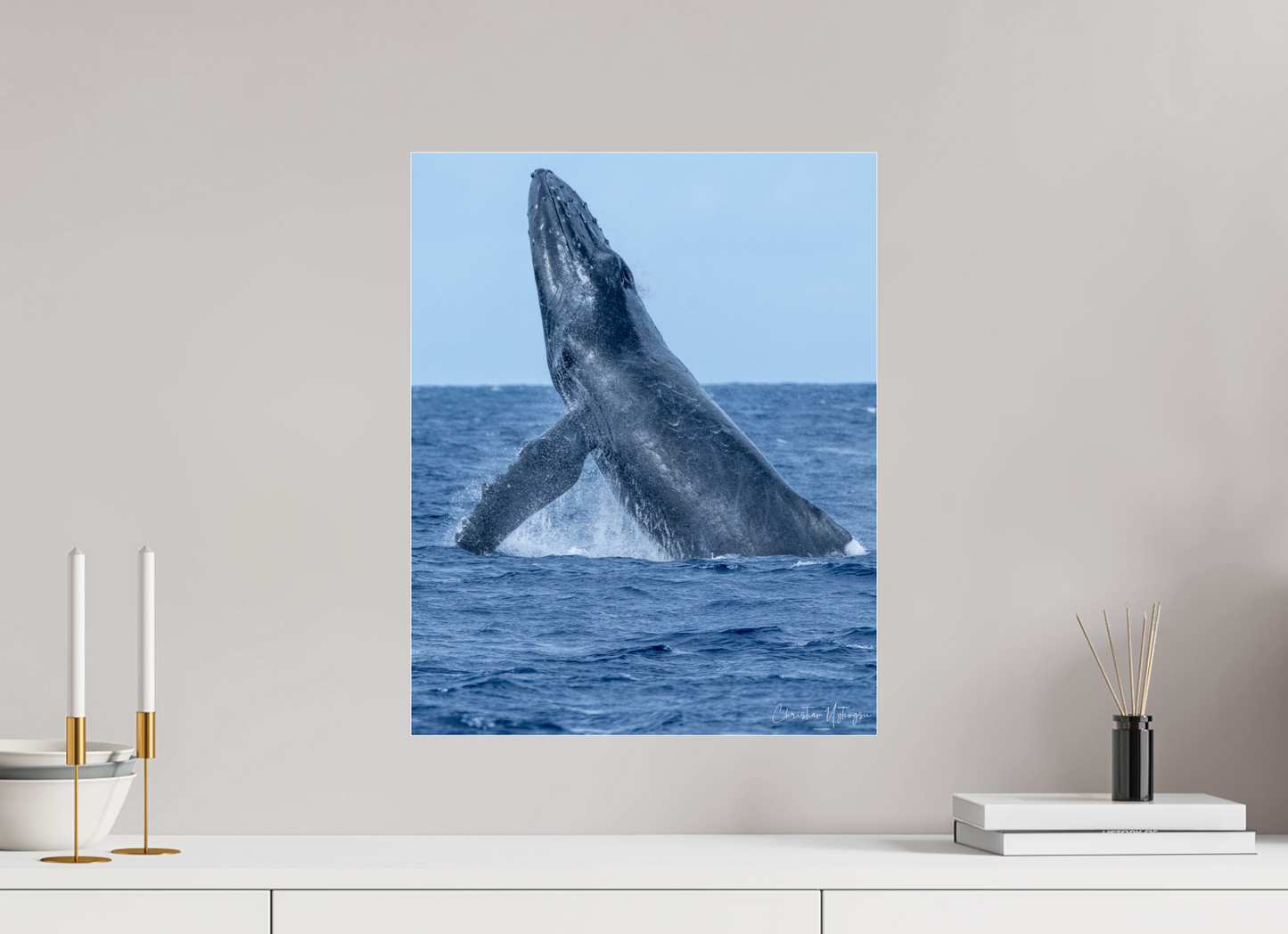 16 x 20″, Acrylic Glass 0.08mm Fuji Crystal Archive DP II Whale Greets Lāna'i