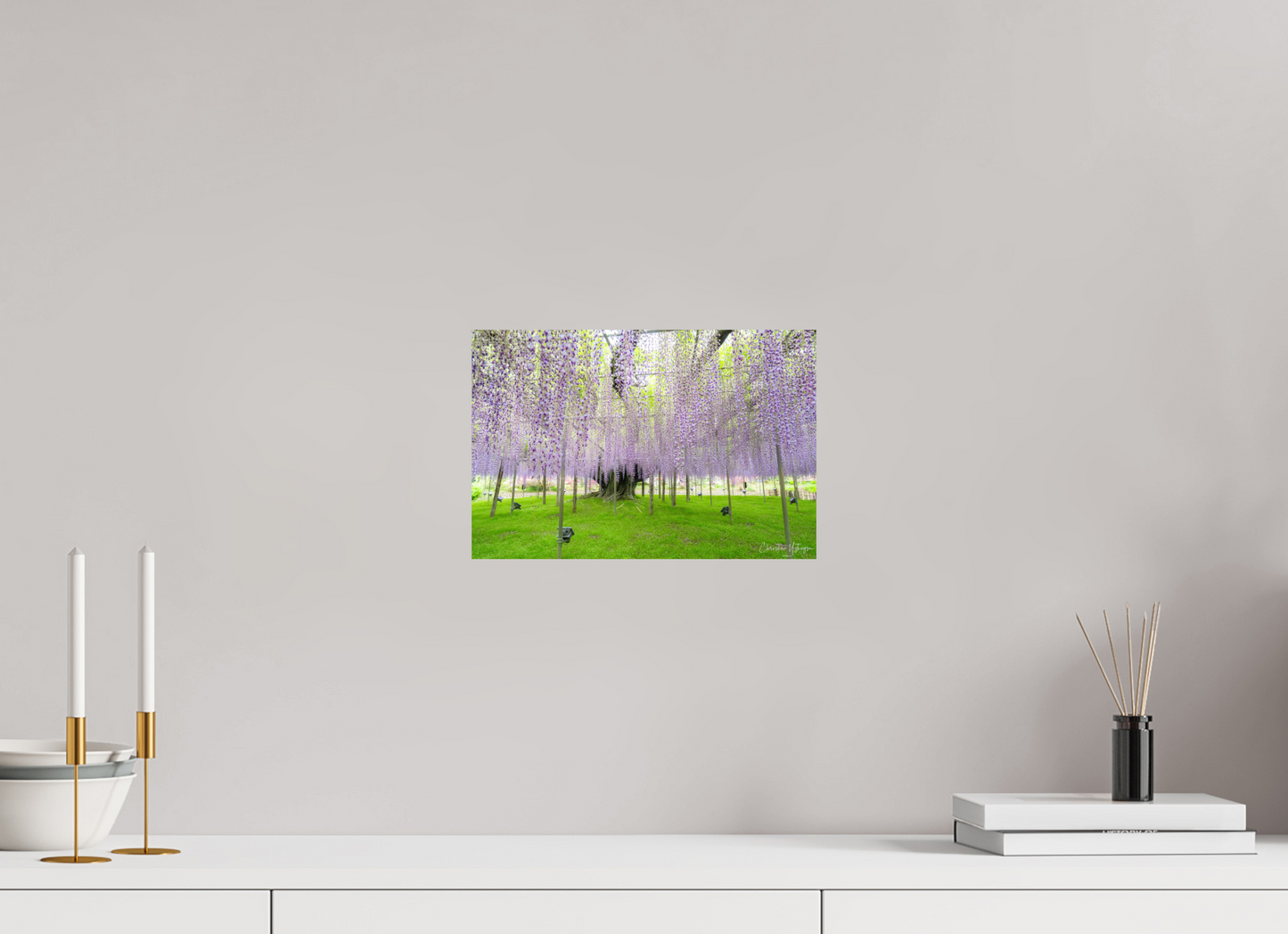 12 x 8″, Fuji Crystal DP II Glossy The Great Wisteria