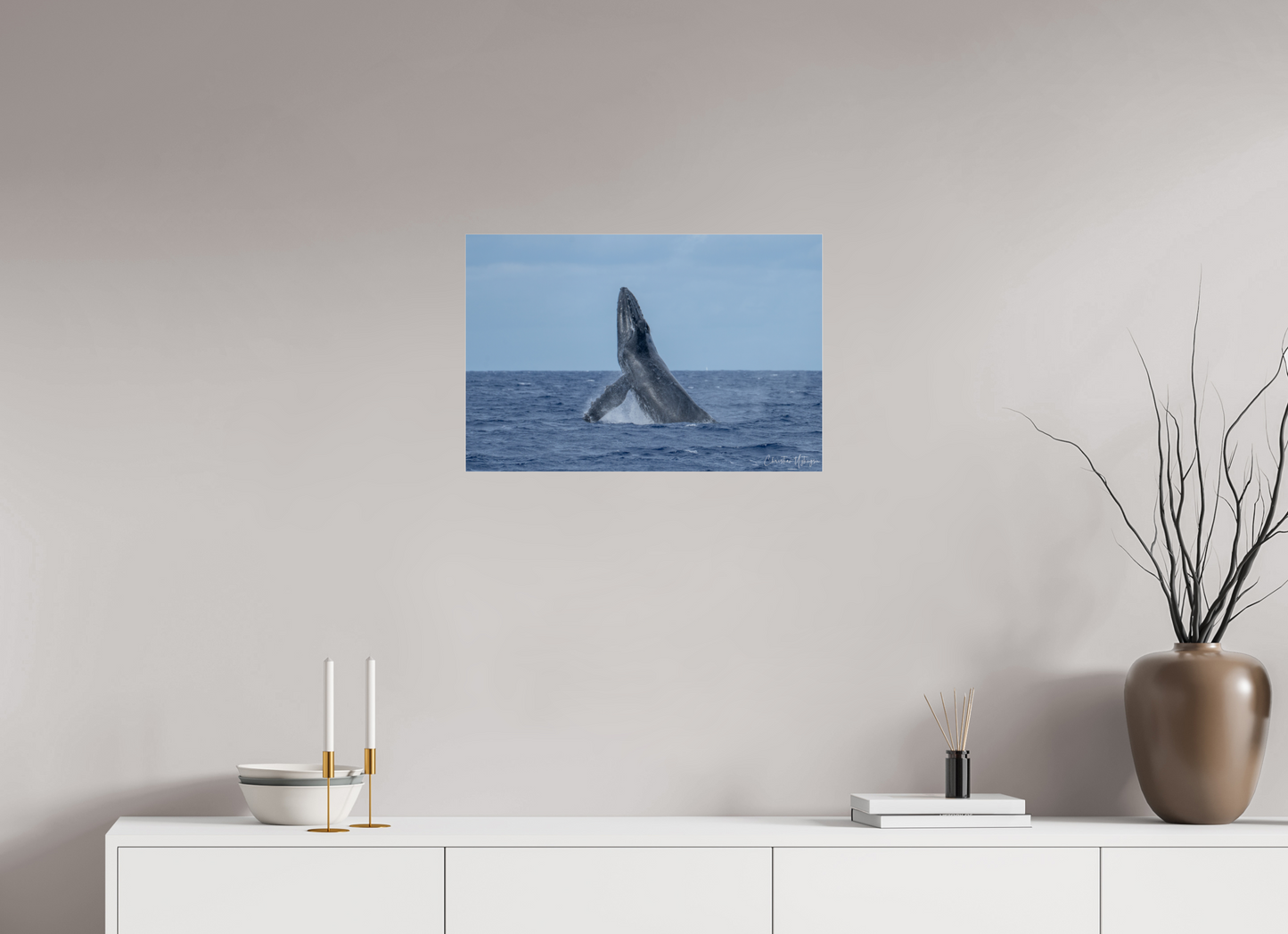 Whale Greets Lāna‘i