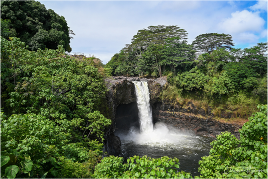 Heart of Hilo