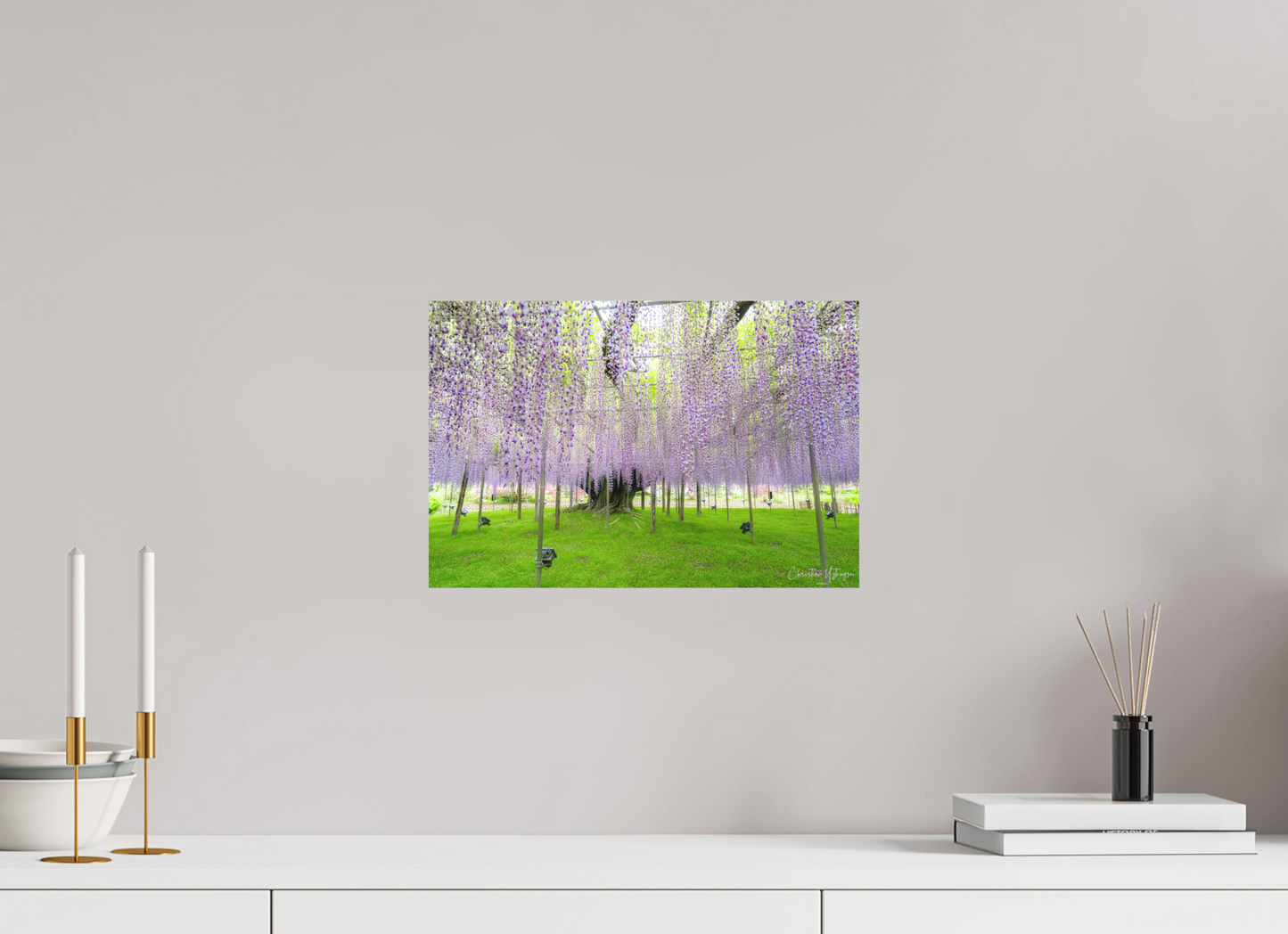 15 x 10″, Hahnemühle Photo Rag Bright White The Great Wisteria