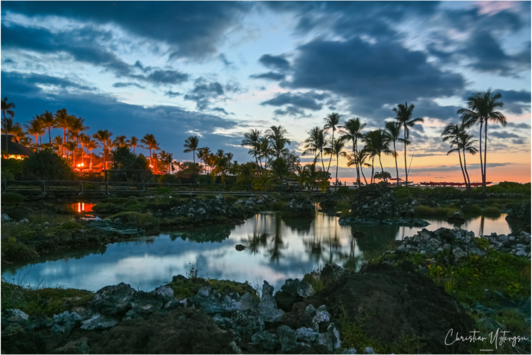 Main image Twilight Palms