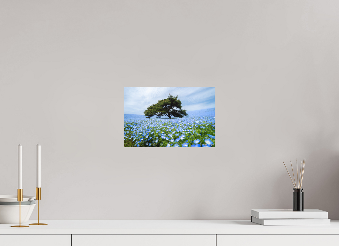 12 x 8″, Fuji Crystal DP II Matte Tree of Life