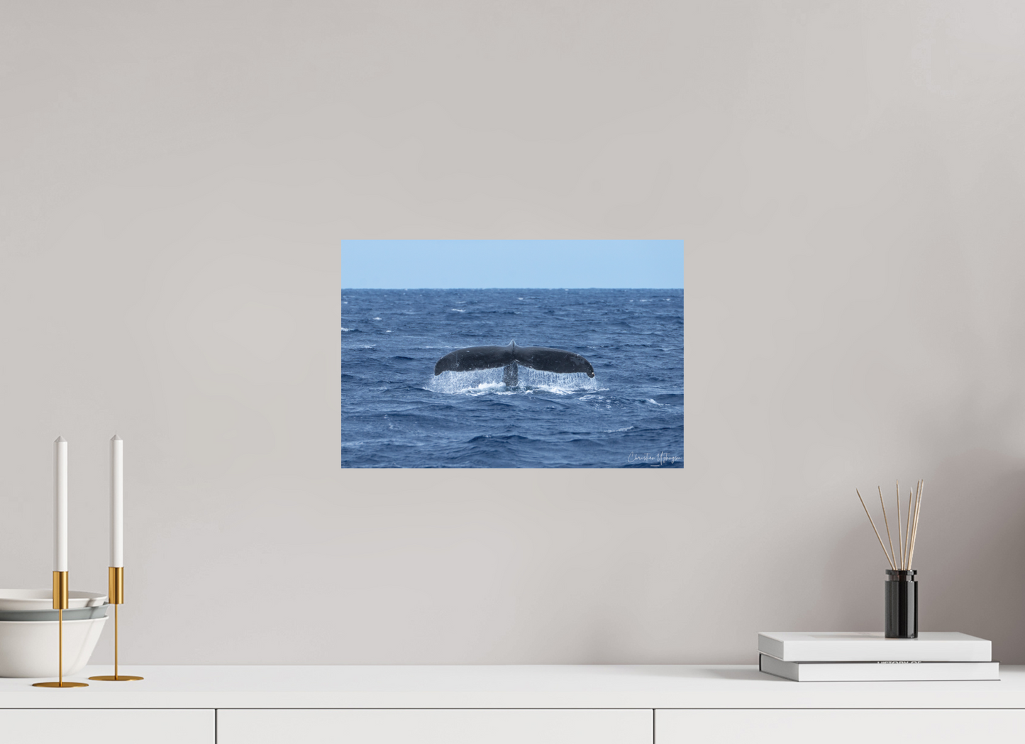 Whale Tail