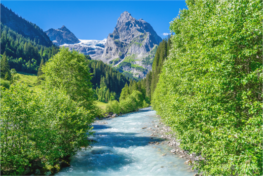 Main image The Heart of the Alps