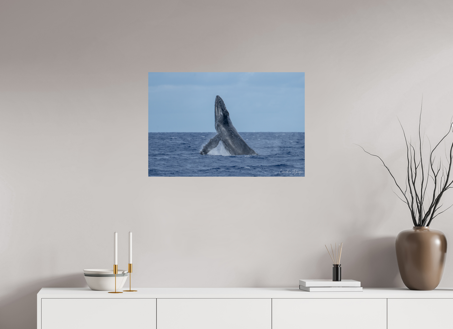 Whale Greets Lāna‘i