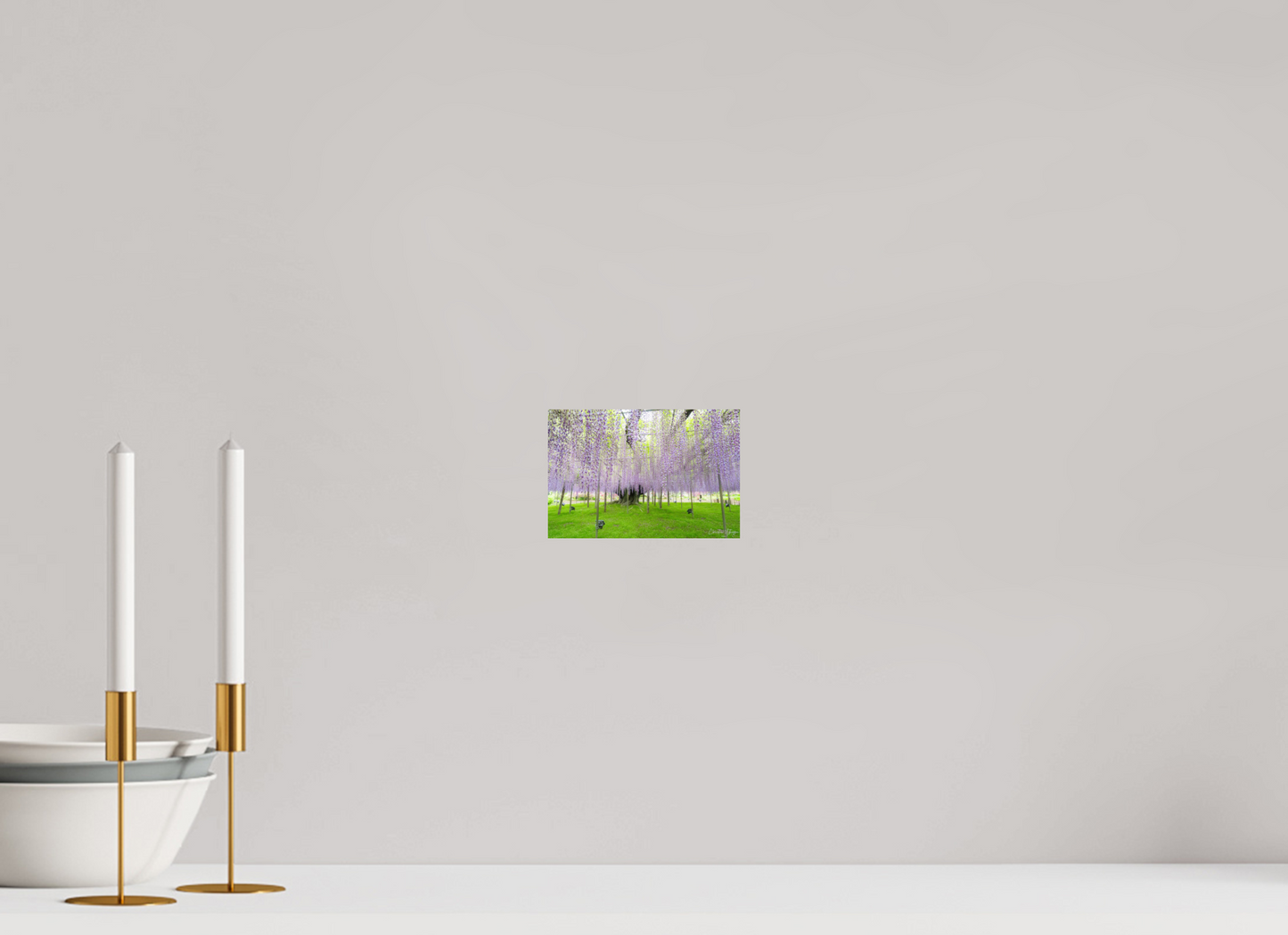 6 x 4″, Fuji Crystal DP II Glossy The Great Wisteria