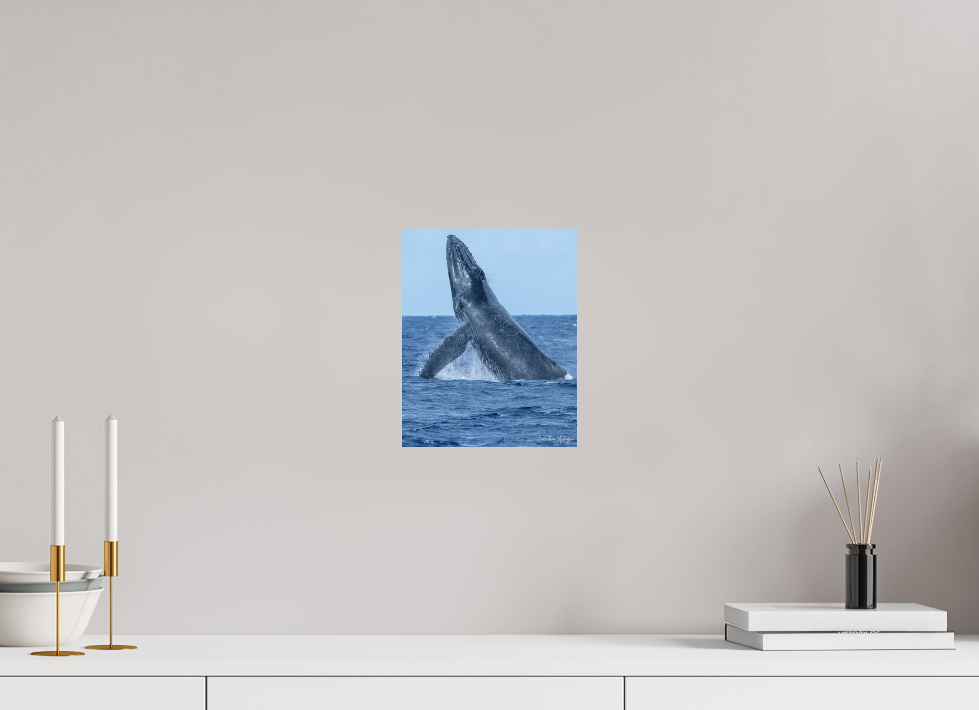 8 x 10″, Hahnemühle Photo Rag Bright White Whale Greets Lāna'i