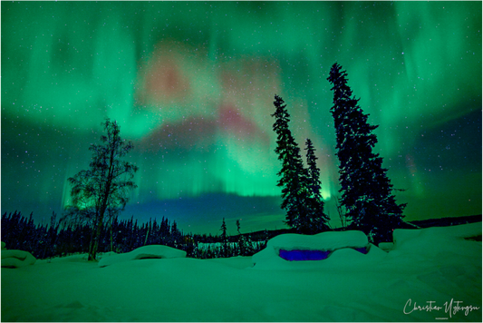 Arctic Lights