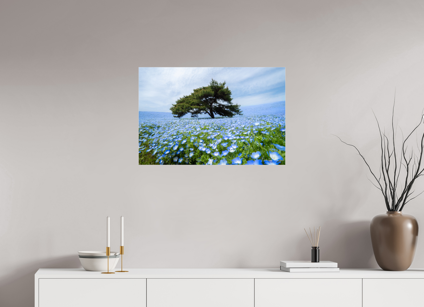 30 x 20″, Acrylic Glass 0.08mm Fuji Crystal Archive DP II Tree of Life
