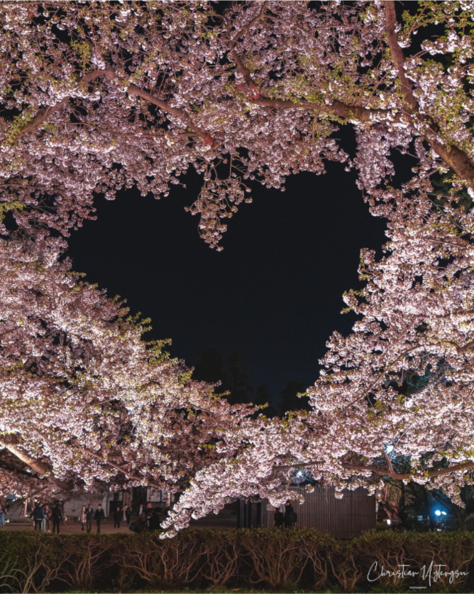 Main image Heart of Japan