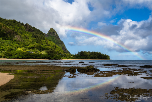 Nature’s Hidden Portal