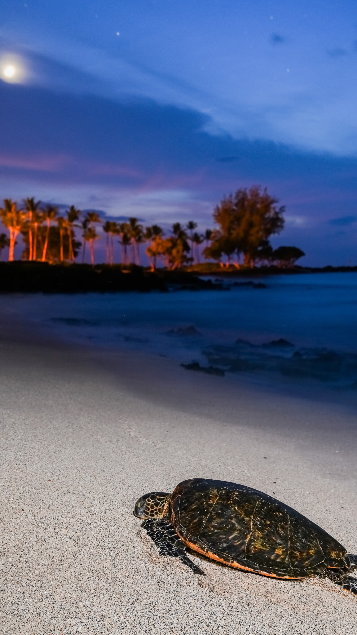 custom-slideshow-image-mobile-block_zN4Qih