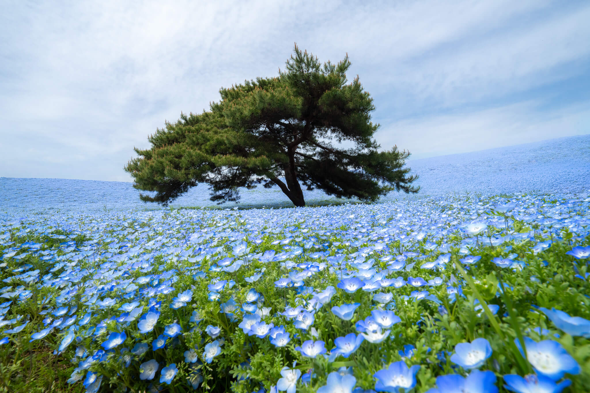 custom-slideshow-image-desktop-block_RDLbEK