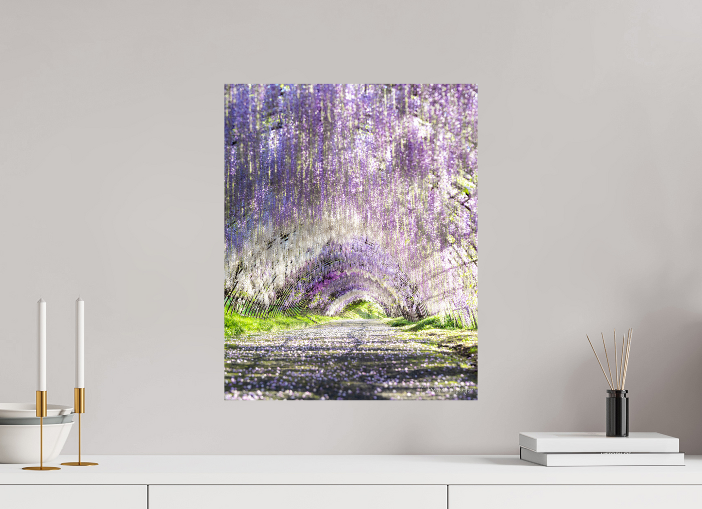 16 x 20″, ChromaLuxe HD Metal Print Wisteria Dreams