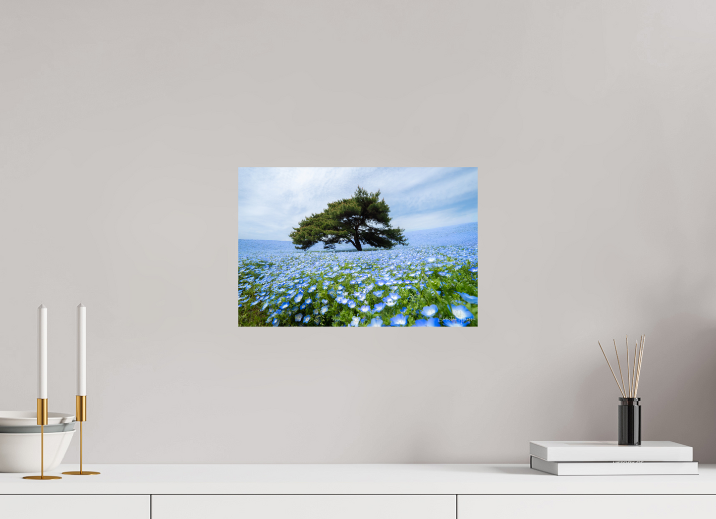 15 x 10″, Fuji Crystal DP II Glossy Tree of Life