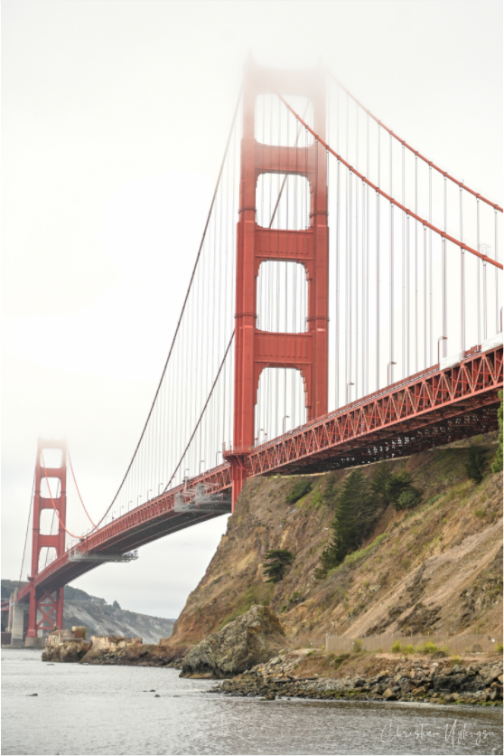 Main image Steel in Stillness