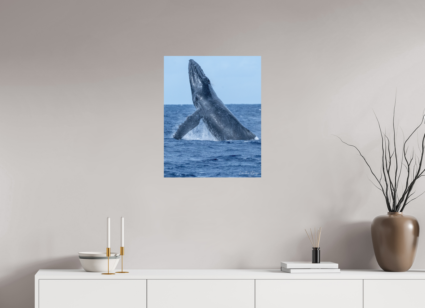 20 x 25″, Hahnemühle Photo Rag Bright White Whale Greets Lāna'i