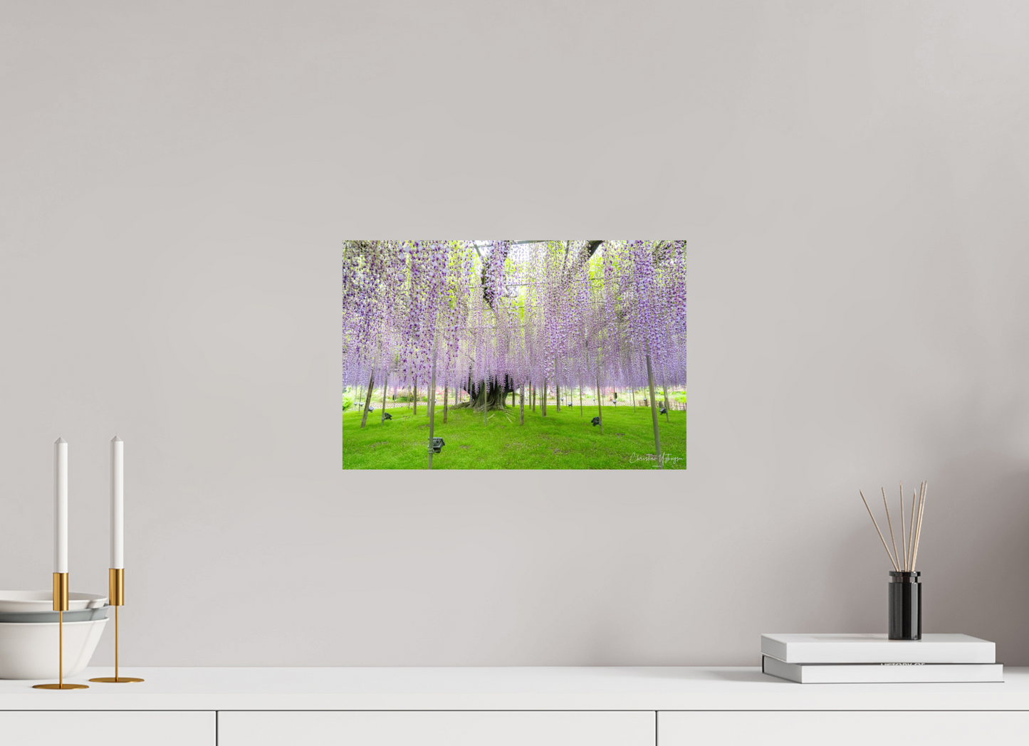 15 x 10″, Fuji Crystal DP II Glossy The Great Wisteria