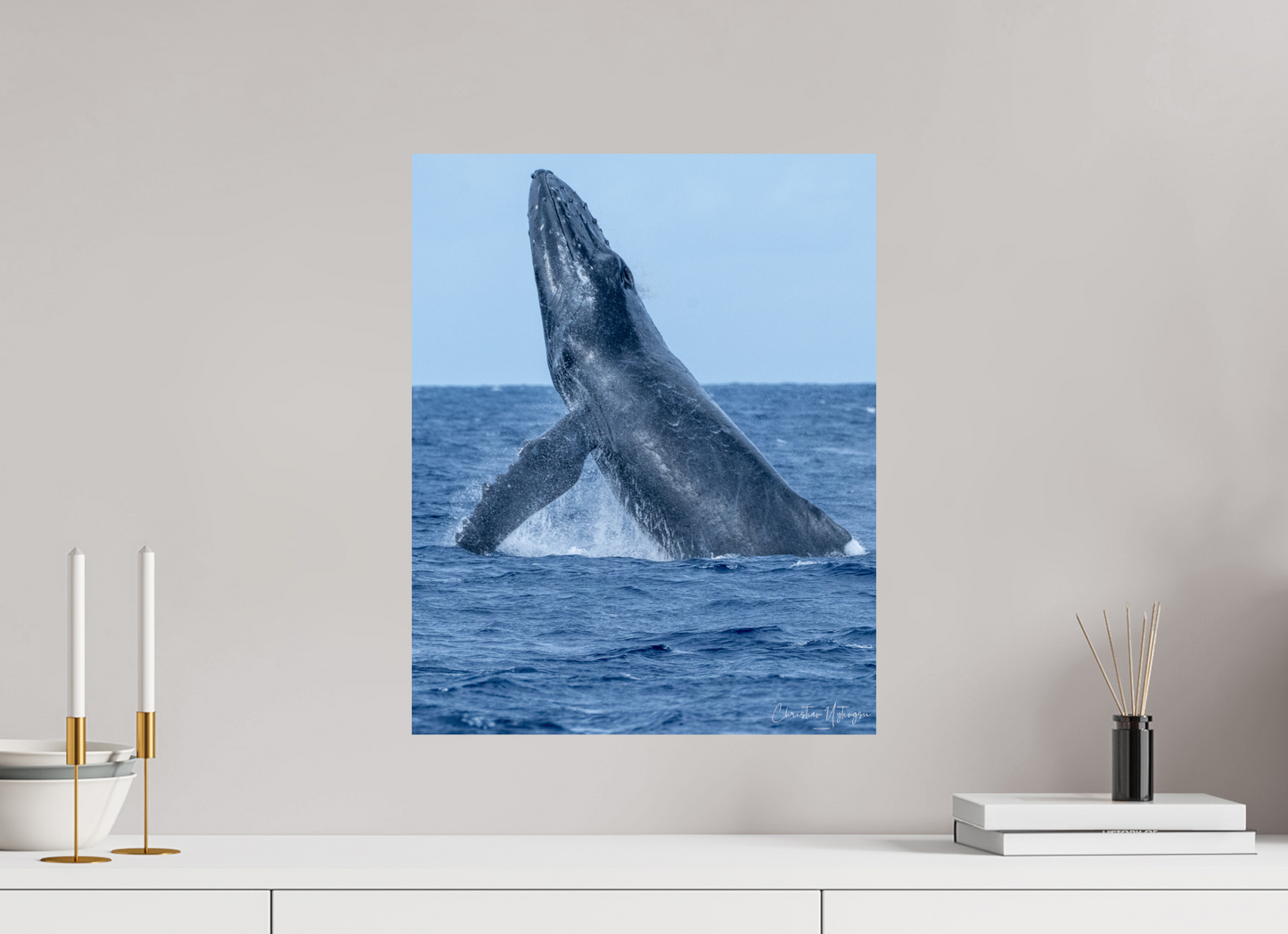 16 x 20″, ChromaLuxe HD Metal Print Whale Greets Lāna'i