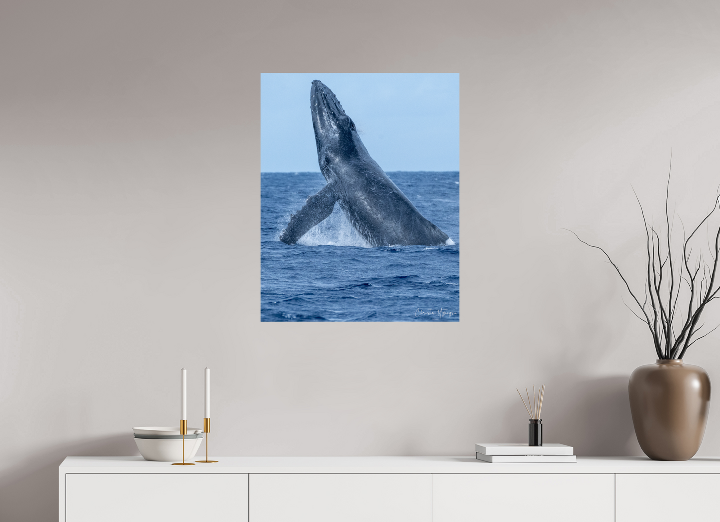 24 x 30″, ChromaLuxe HD Metal Print Whale Greets Lāna'i