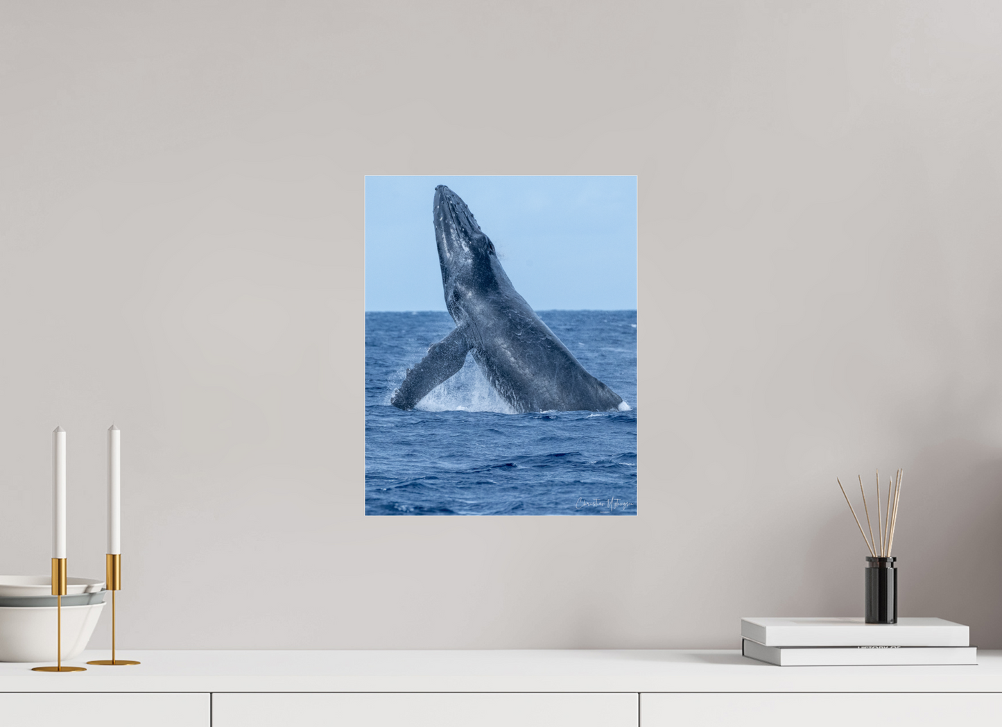12 x 15″, Acrylic Glass 0.08mm Fuji Crystal Archive DP II Whale Greets Lāna'i