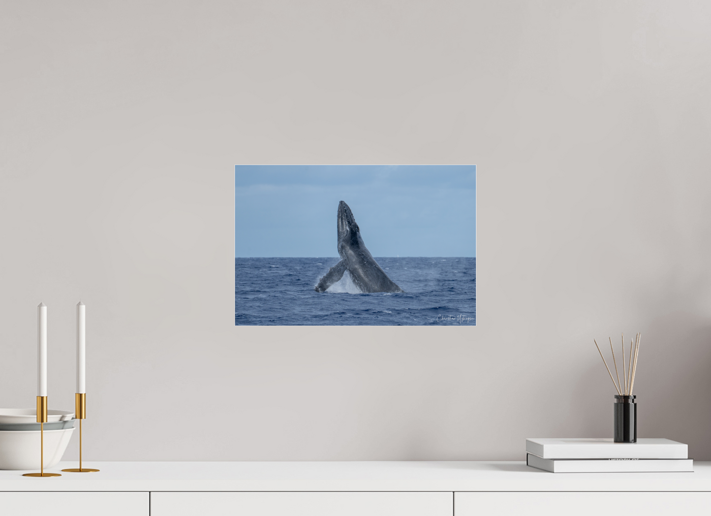 Whale Greets Lāna‘i