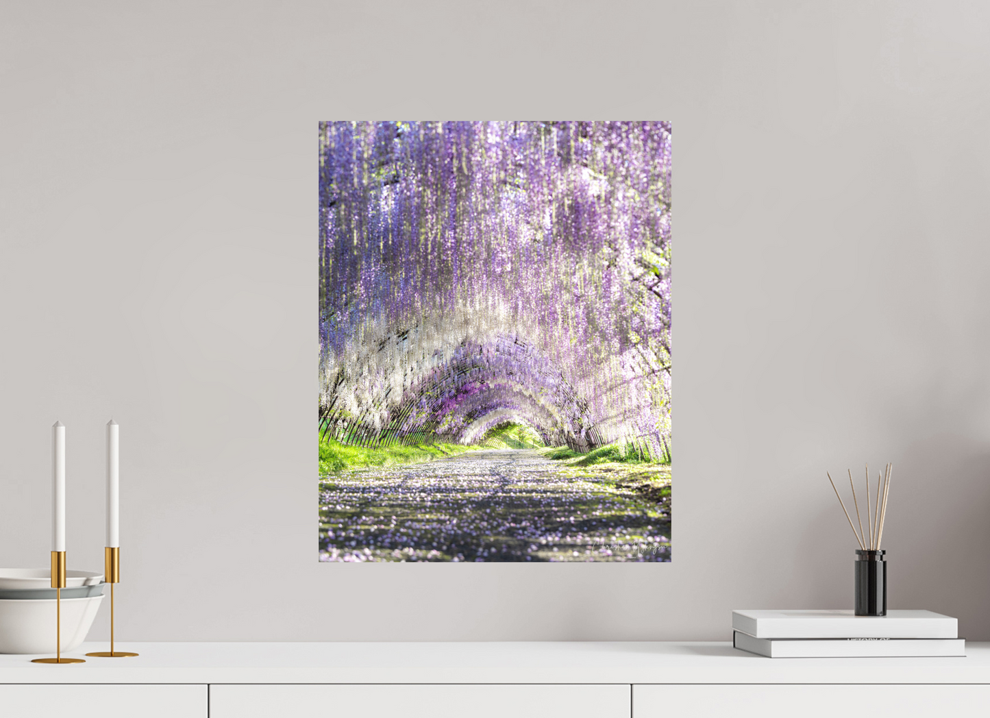 16 x 20″, Fuji Crystal DP II Matte Wisteria Dreams