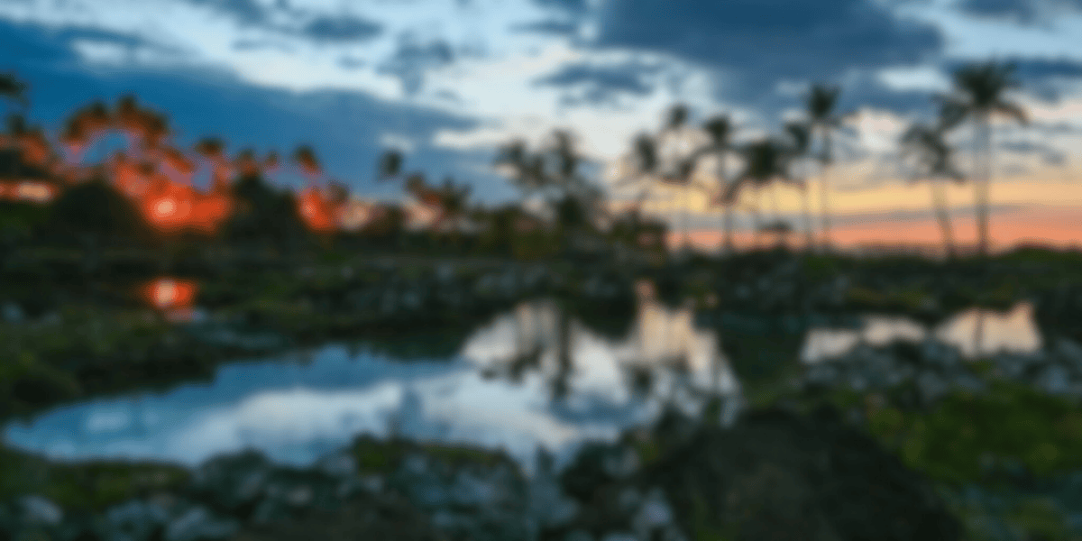 custom-slideshow-image-desktop-block_UX8A49