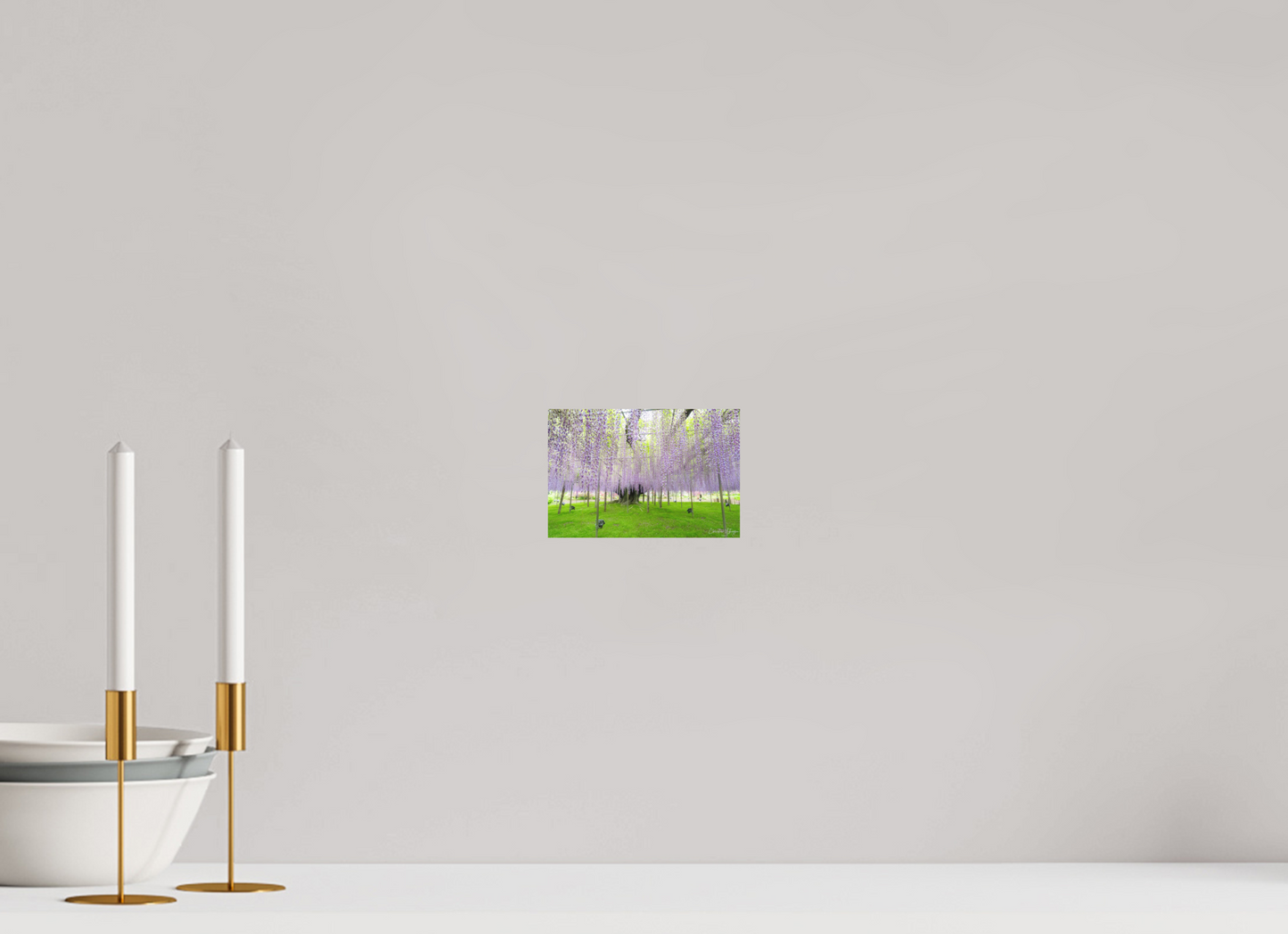 6 x 4″, Fuji Crystal DP II Matte The Great Wisteria