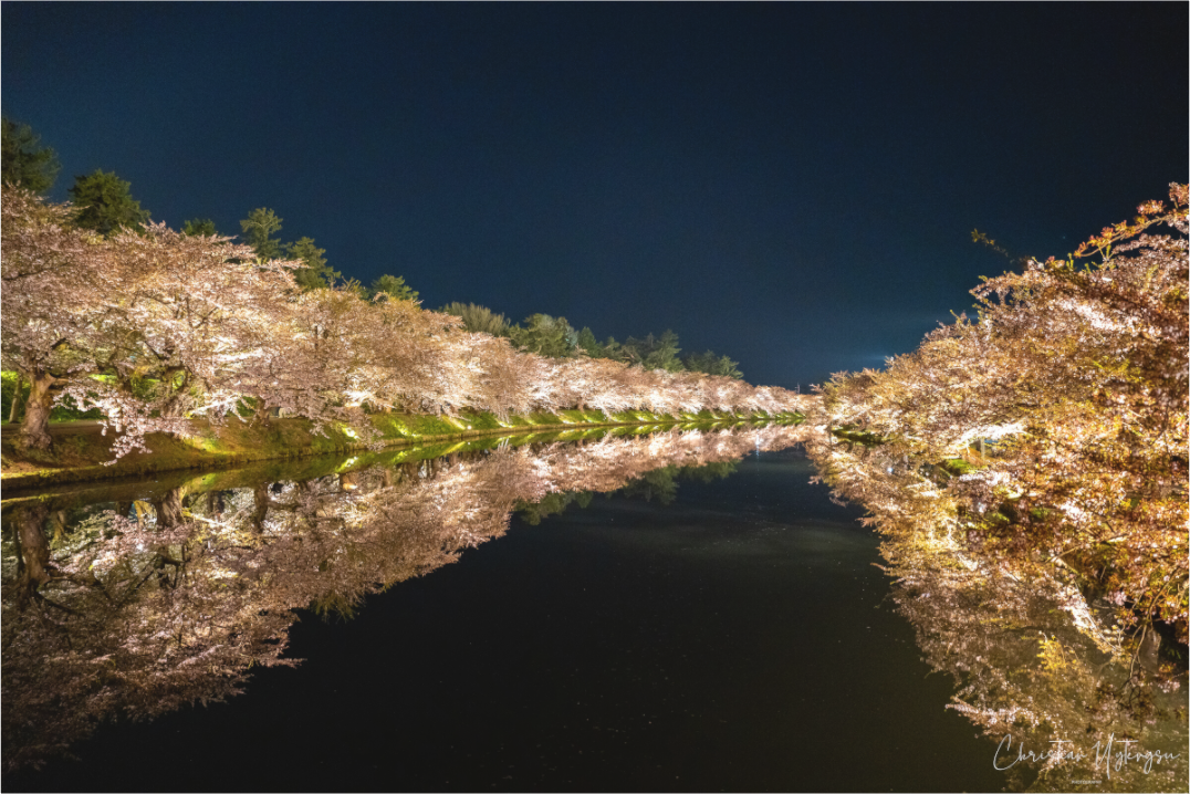 Main image Reflections in Time