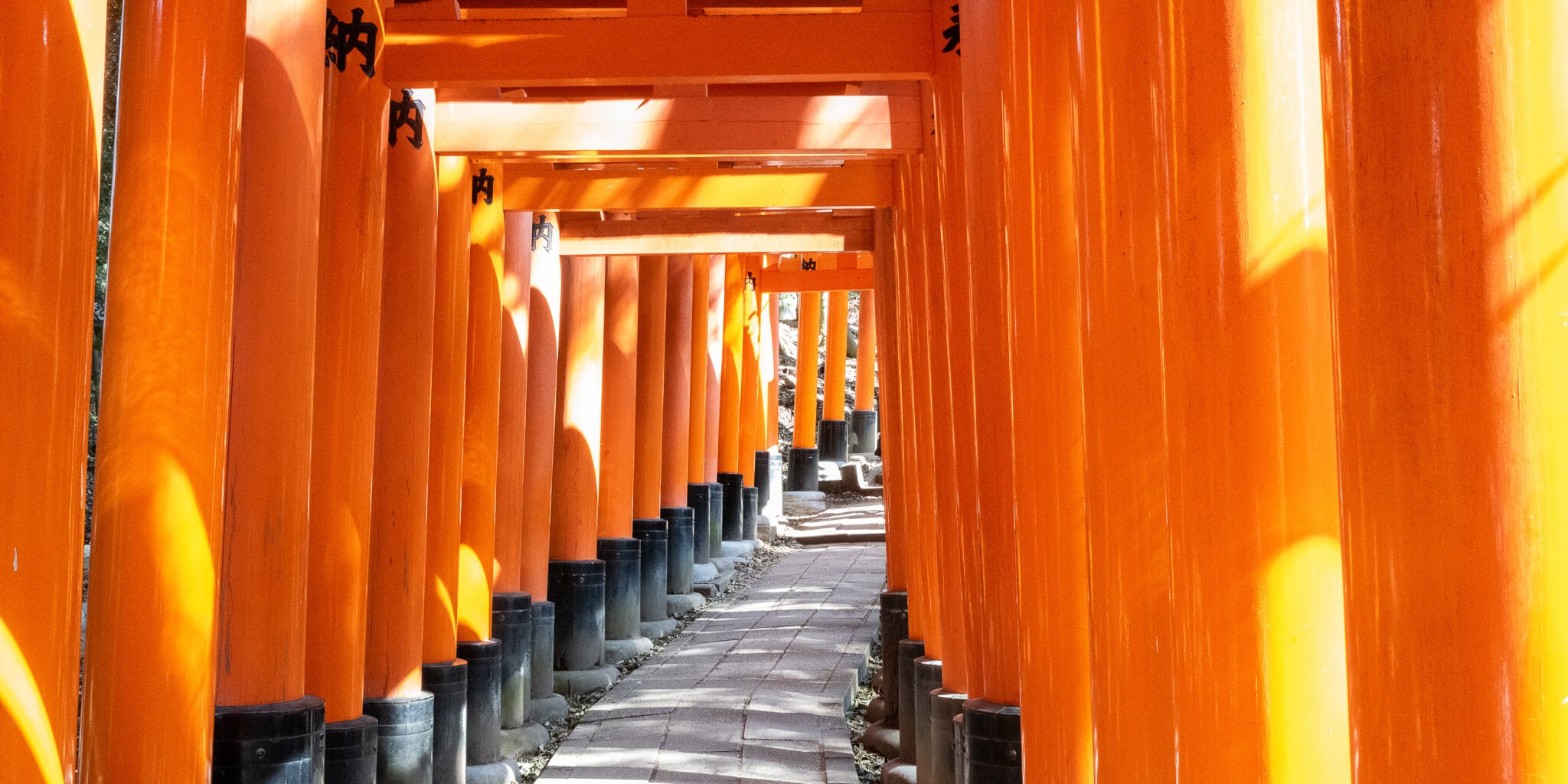 custom-slideshow-image-desktop-block_pdDkjY