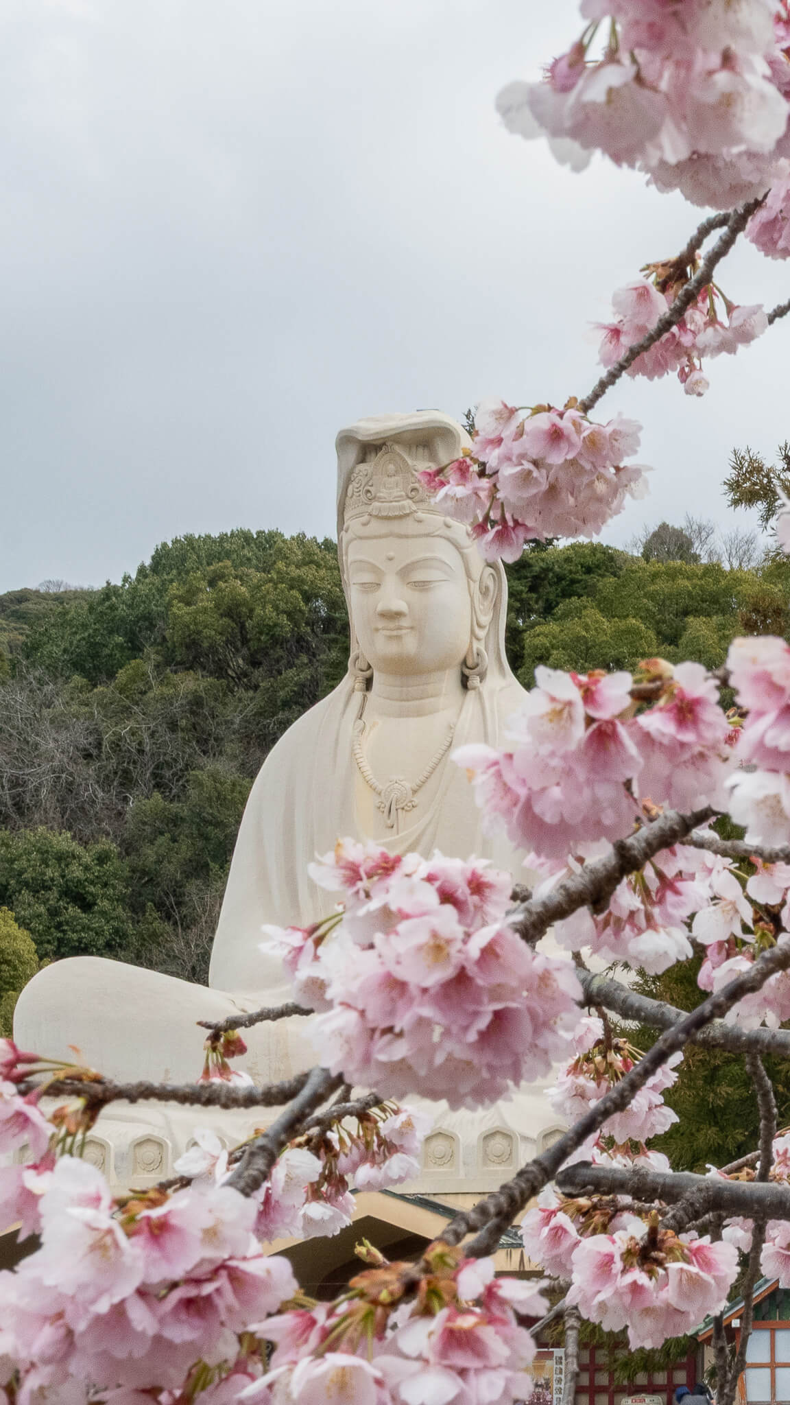 custom-slideshow-image-mobile-block_pdDkjY