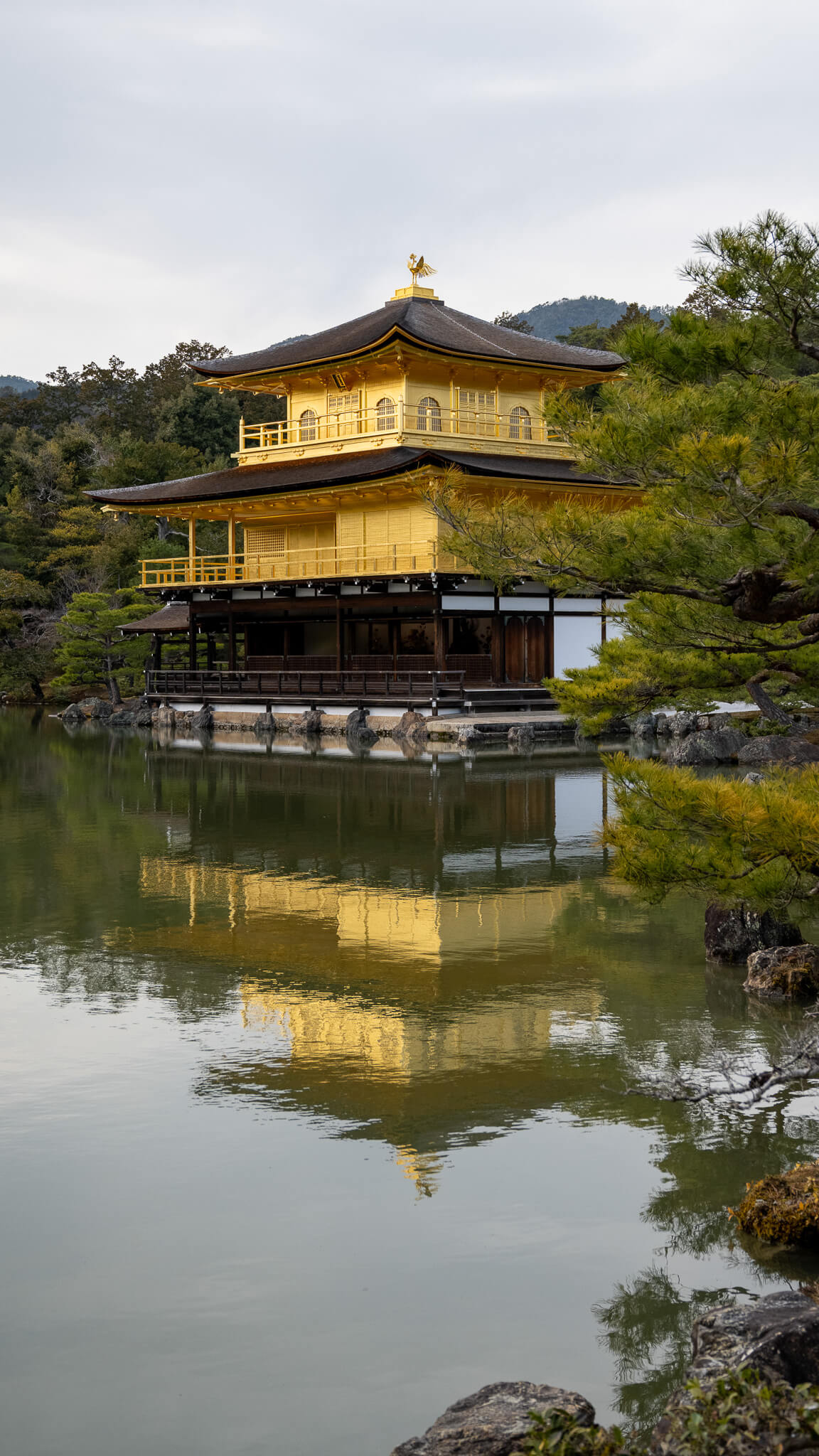 custom-slideshow-image-mobile-block_WGWcU6