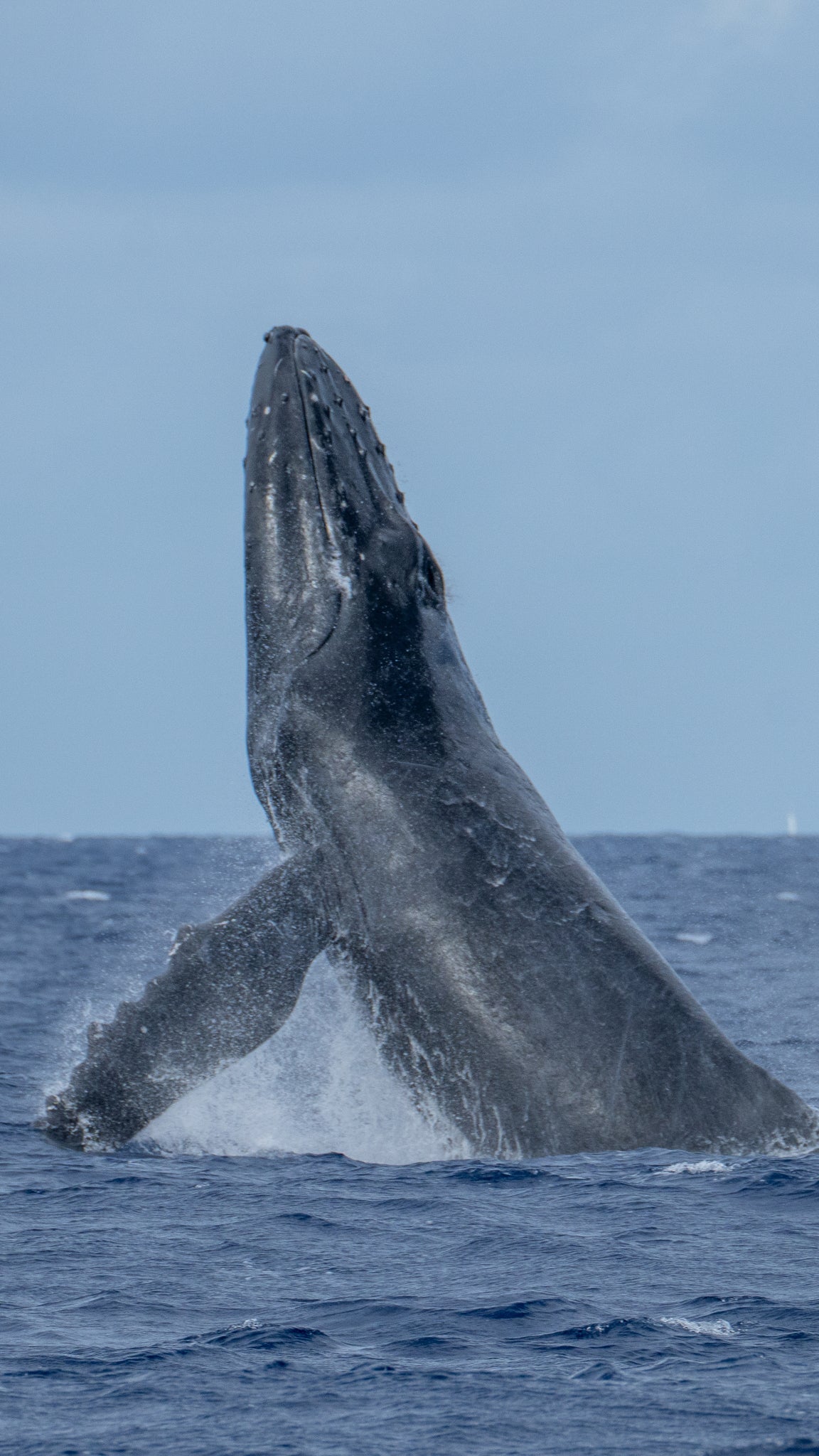 custom-slideshow-image-mobile-block_6zRMz9